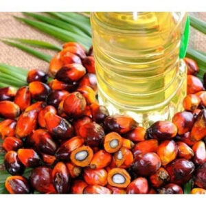 Palm Olien Oil
