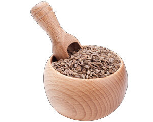 Cumin seeds