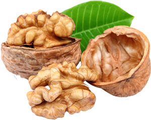 walnut